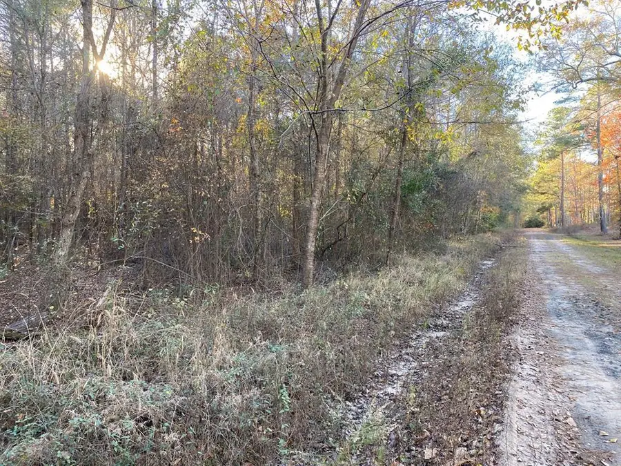 R47120 Cottonwood, Huntington, TX 75949 - #2