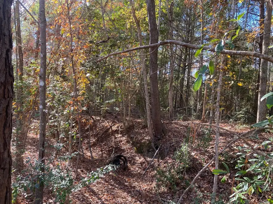 R47120 Cottonwood, Huntington, TX 75949 - #3