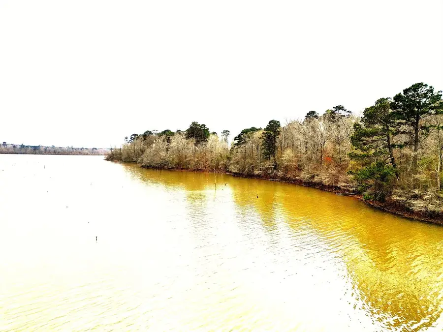 999 Davidson Rd, Hemphill, TX 75948 - #3