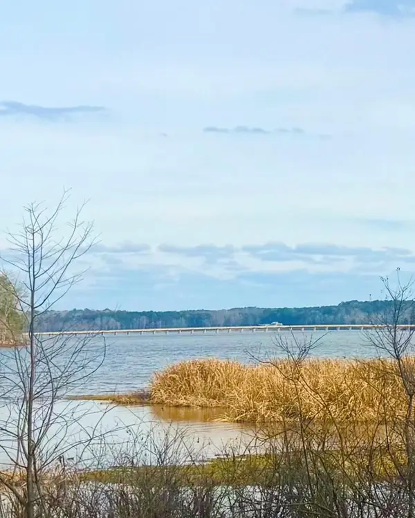 417 Old Tejas Trail West, Hemphill, TX 75948