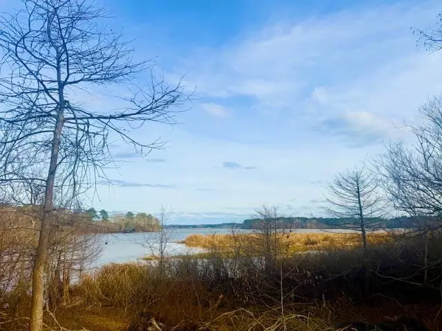 417 Old Tejas Trail West, Hemphill, TX 75948 - #2