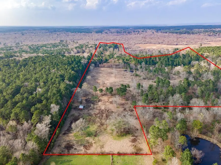 31964 Herman Nerren Road, Huntington, TX 75949 - #2