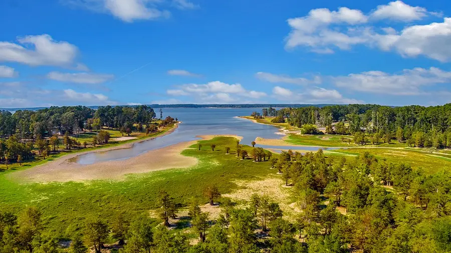 1810 County Road 219, Brookeland, TX 75931 - #2