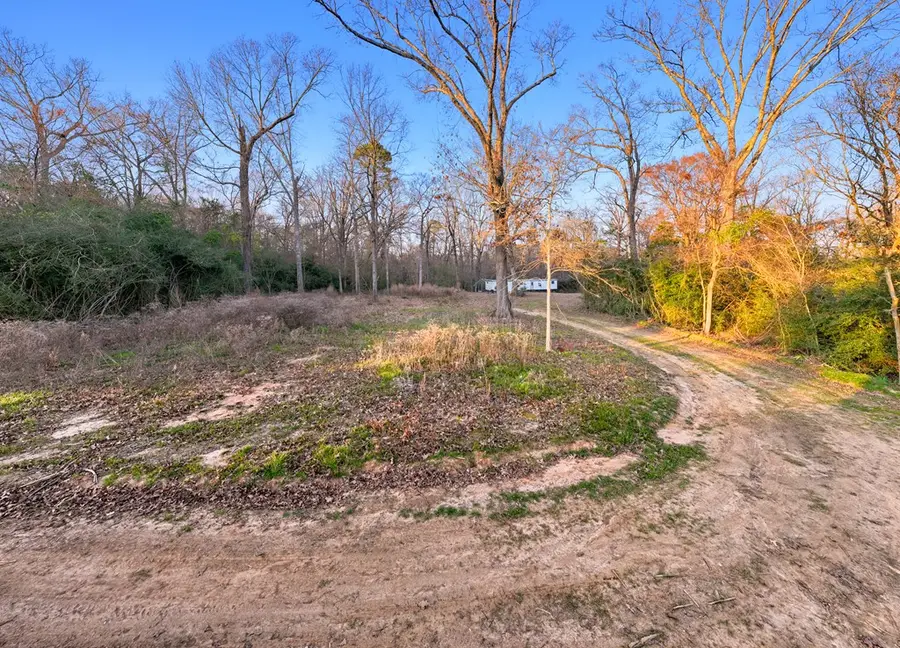 273 County Road 2711, Shelbyville, TX 75973 - #2