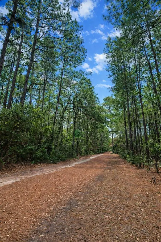 TBD County Road 4595, Warren, TX 77664 - #1