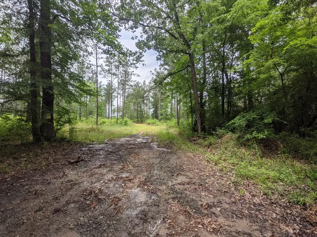 101 Beechwood, Huntington, TX 75949 - #1