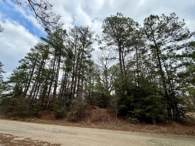 PID 32159 Middlecoff Drive, Brookeland, TX 75931 - #3