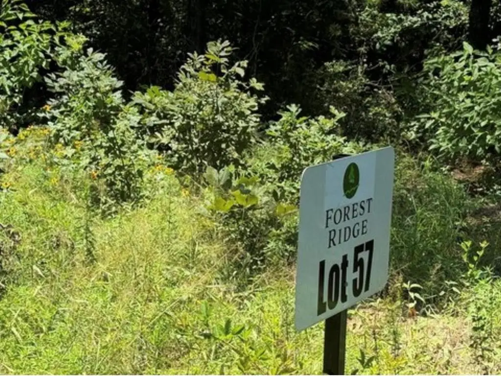 1630 Cr 1060, Center, TX 75935 - #1