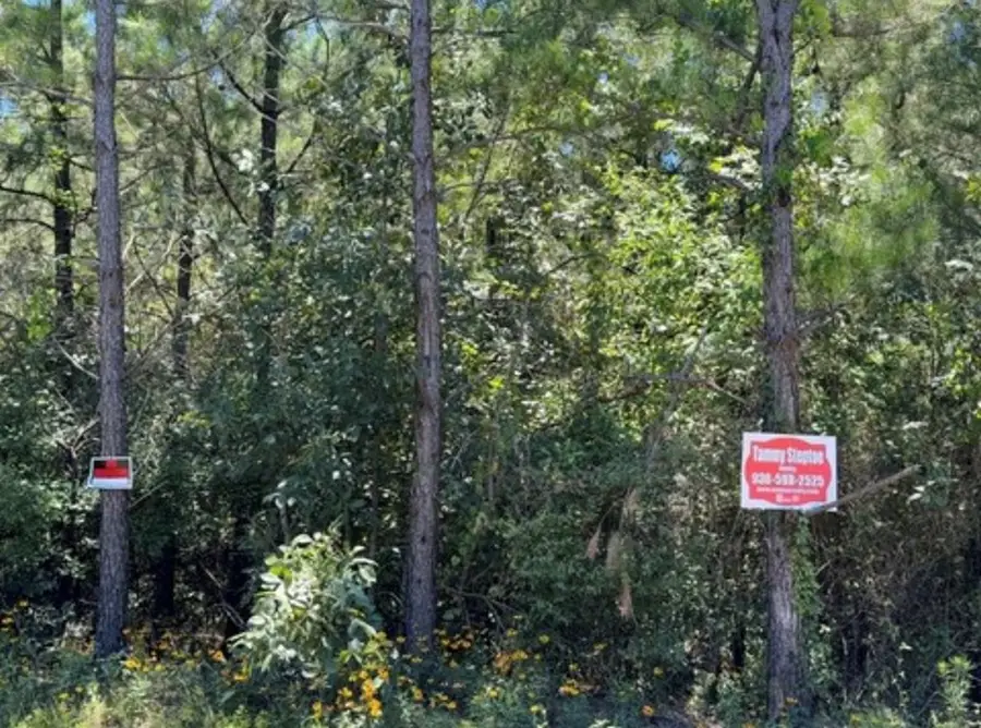 1630 Cr 1060, Center, TX 75935 - #3