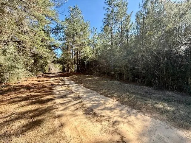 1133 County Road 3064, Call, TX 75951 - #3