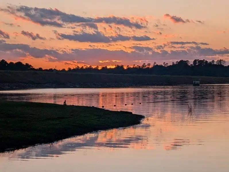 753 Cr 753, Nacogdoches, TX 75964 - #1