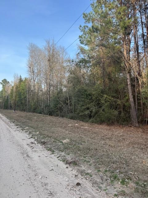 TBD Piney Creek Subdivision, Corrigan, TX 75939 - #2