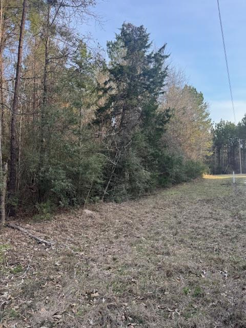 TBD Piney Creek Subdivision, Corrigan, TX 75939 - #3