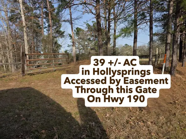 39.088 AC Hwy 190 E, Jasper, TX 75951