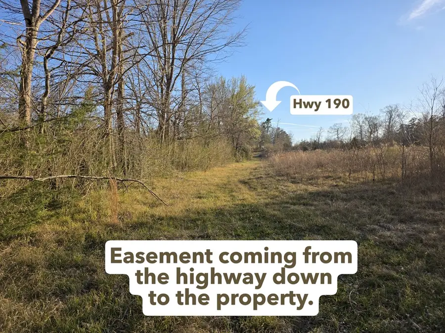 39.088 AC Hwy 190 E, Jasper, TX 75951 - #2