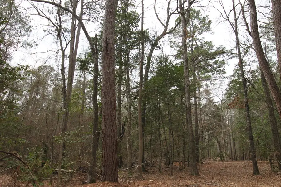 000 Plantation Drive, Lufkin, TX 75901 - #2