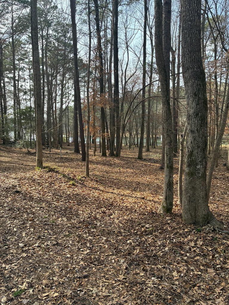 tbd Lakeview Drive, Center, TX 75935 - #2