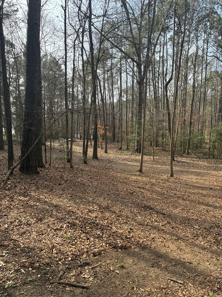 tbd Lakeview Drive, Center, TX 75935 - #3