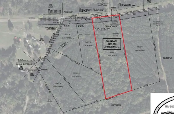 TRACT2 PID11304 Fm 843, Broaddus, TX 75929