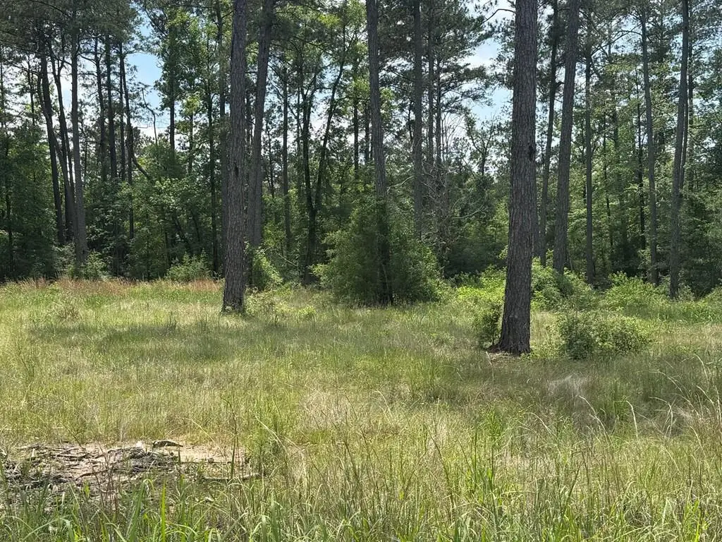 Lot 008 Private Rd 6028, Brookeland, TX 75931 - #1