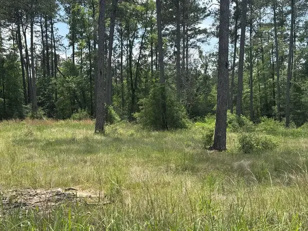 Lot 008 Private Rd 6028, Brookeland, TX 75931