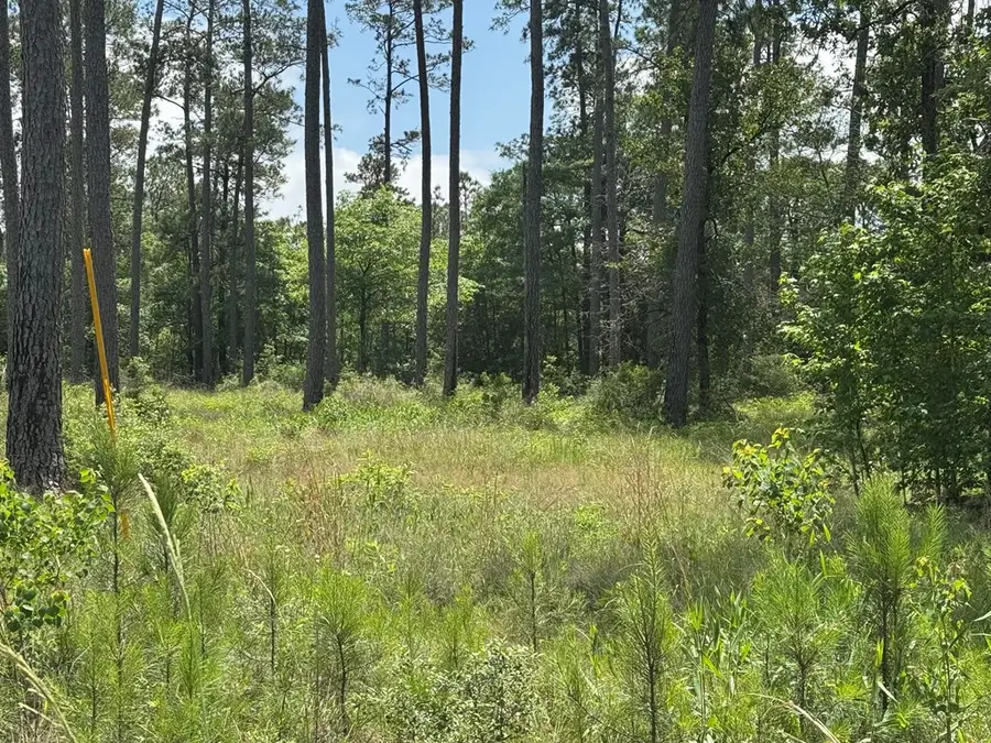 Lot 008 Private Rd 6028, Brookeland, TX 75931 - #3