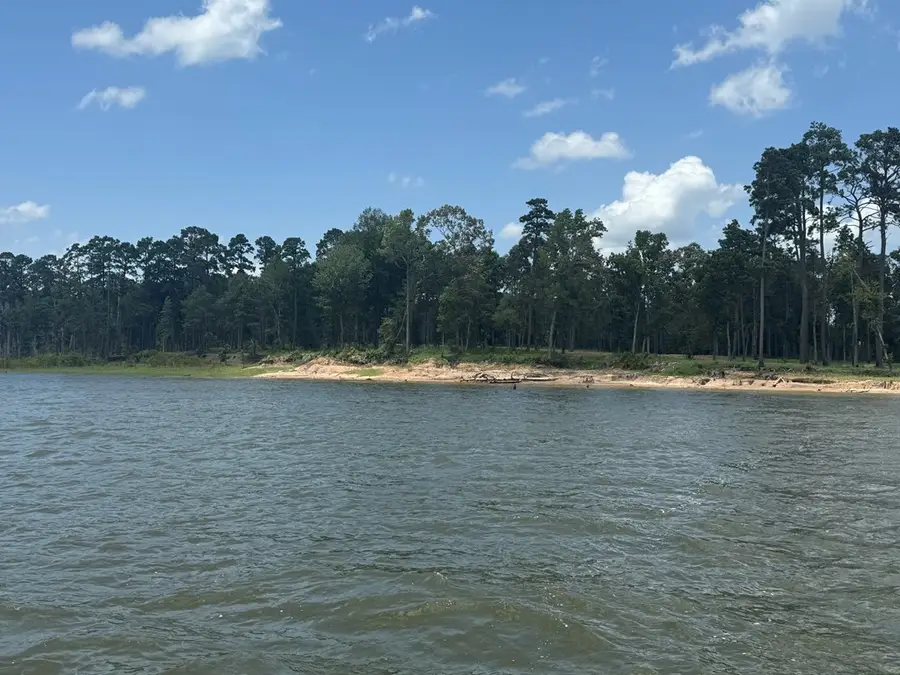 358 Debbie Lane, Pineland, TX 75968 - #3
