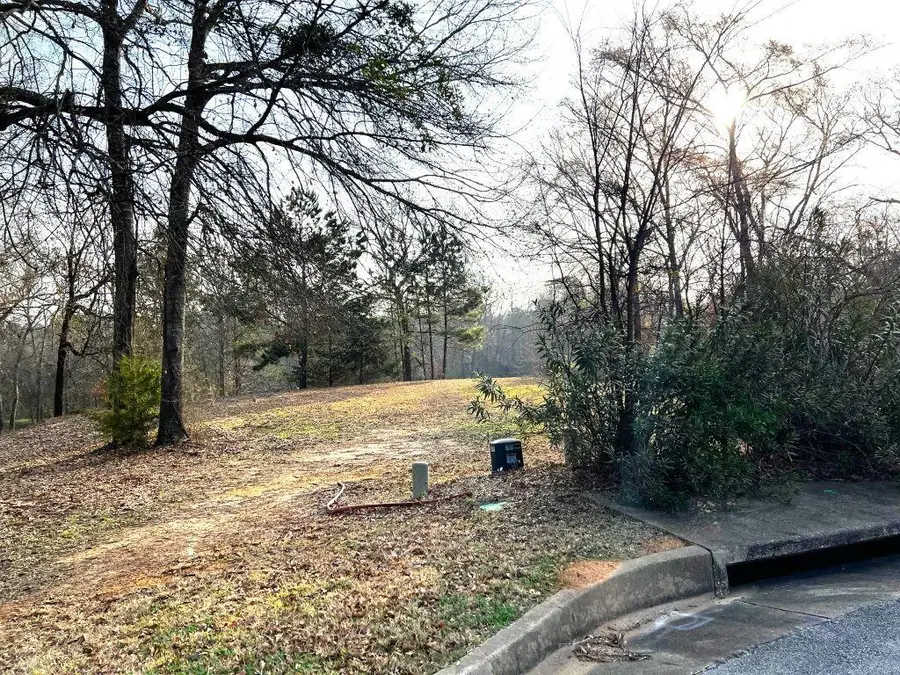 TBD Mclemore Court, Nacogdoches, TX 75964 - #2