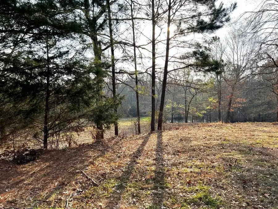 TBD Mclemore Court, Nacogdoches, TX 75964 - #3