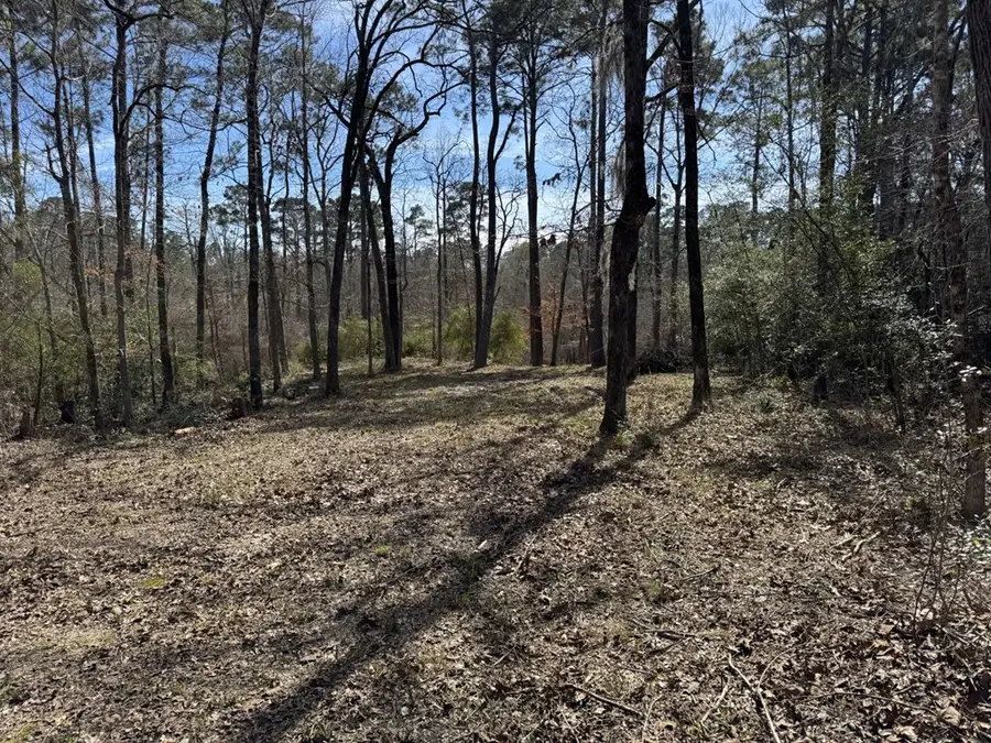 477 Pr 7830, Broaddus, TX 75929 - #2