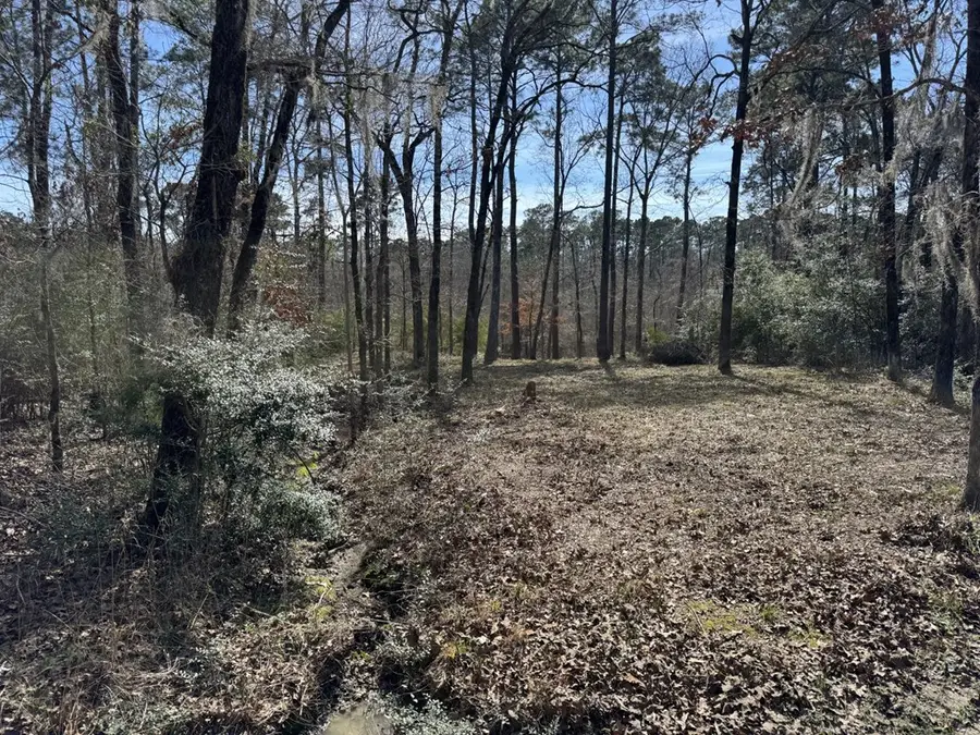 477 Pr 7830, Broaddus, TX 75929 - #3