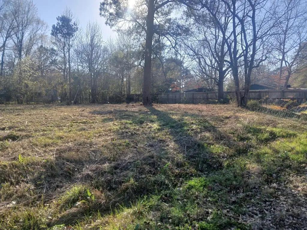 000 Maple, Huntington, TX 75949 - #1