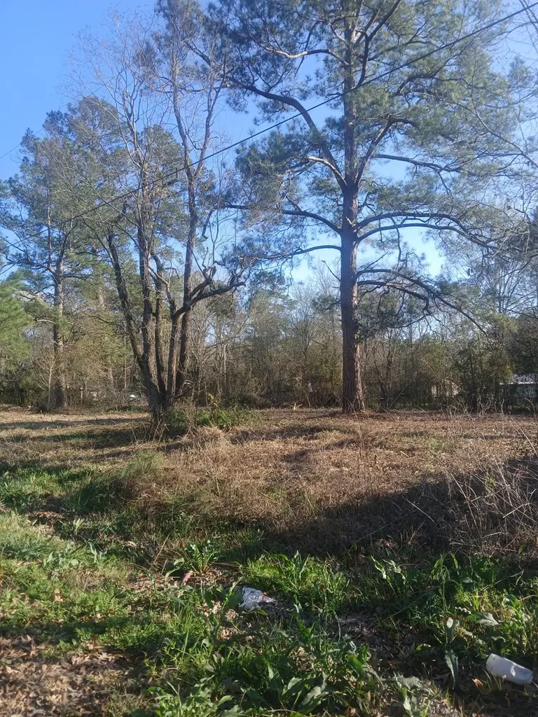 000 Maple, Huntington, TX 75949 - #2