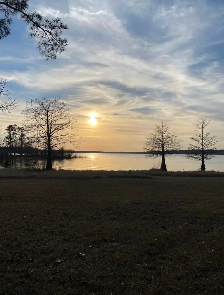 190 Joan Street, Zavalla, TX 75980 - #1