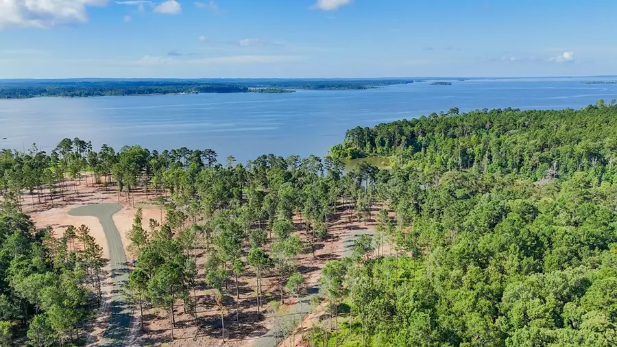 189 Foster Cove, Pineland, TX 75968 - #2