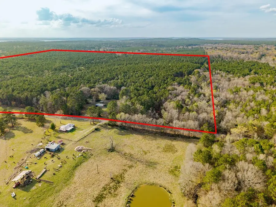 1228 Fm 2558, Broaddus, TX 75929 - #3