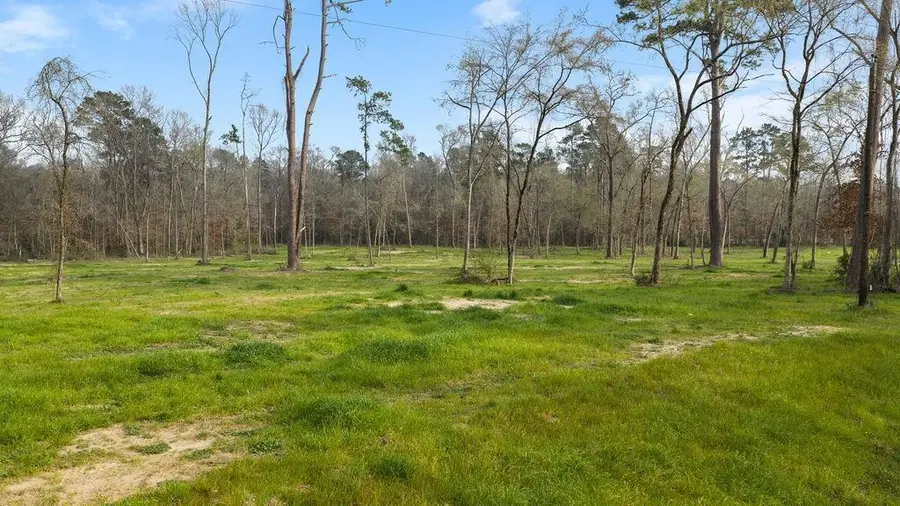 16018 Lot 4 Davisville Road, Lufkin, TX 75901 - #2