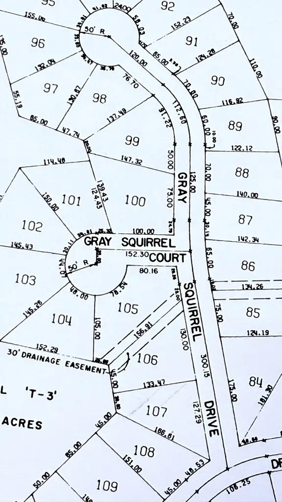 R032769 Gray Squirrel Drive, Brookeland, TX 75931 - #2