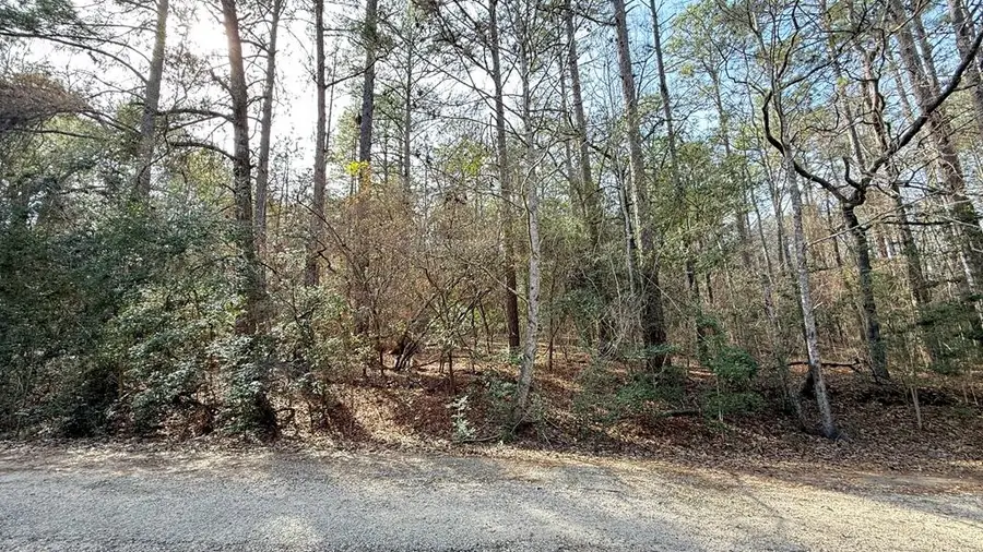 R032769 Gray Squirrel Drive, Brookeland, TX 75931 - #3