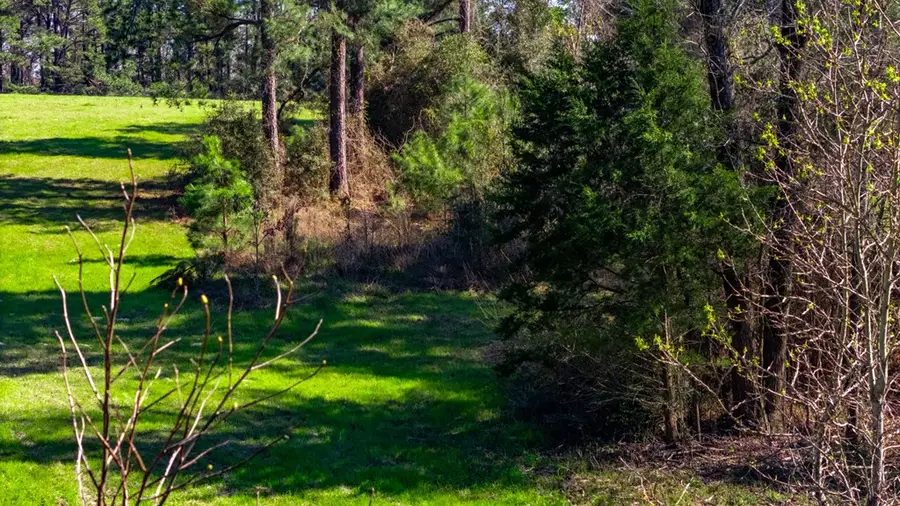 887 County Road 1265, Center, TX 75935 - #3