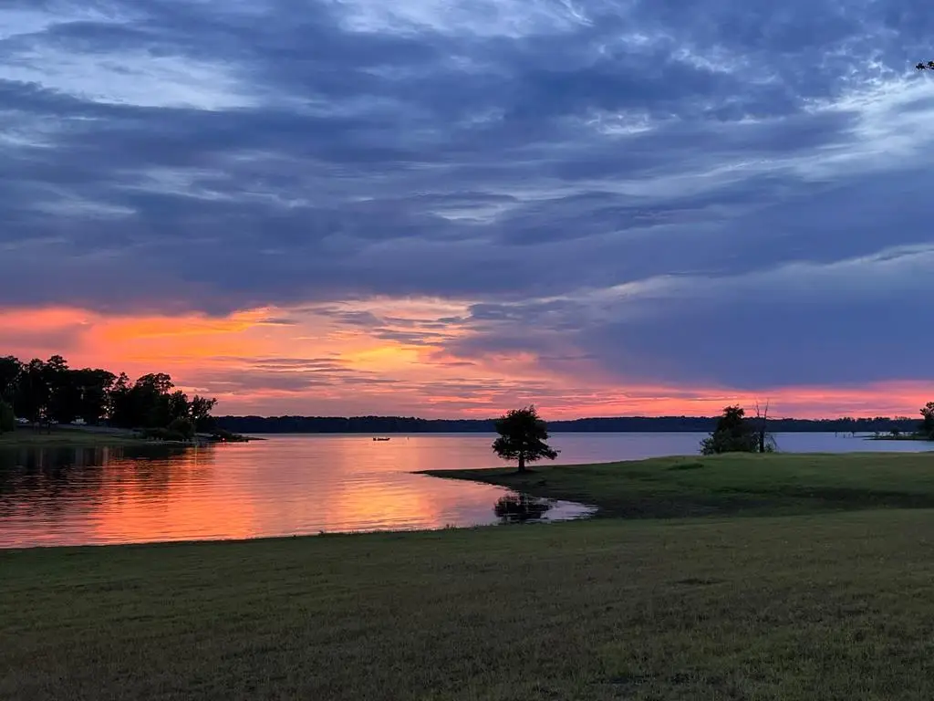 628 Cr 452, Bronson, TX 75930 - #1