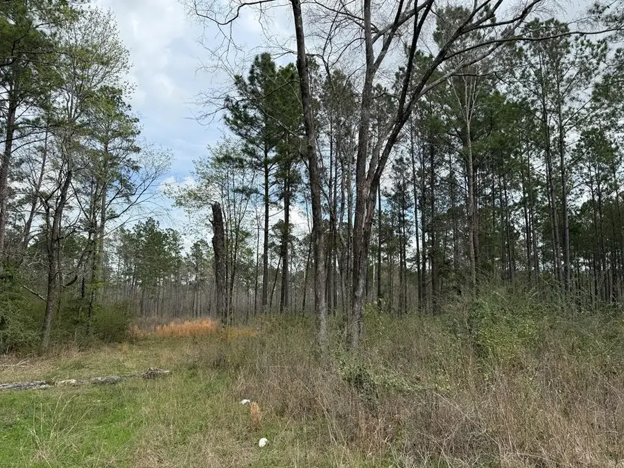 00 Fm 844, Huntington, TX 75949 - #2