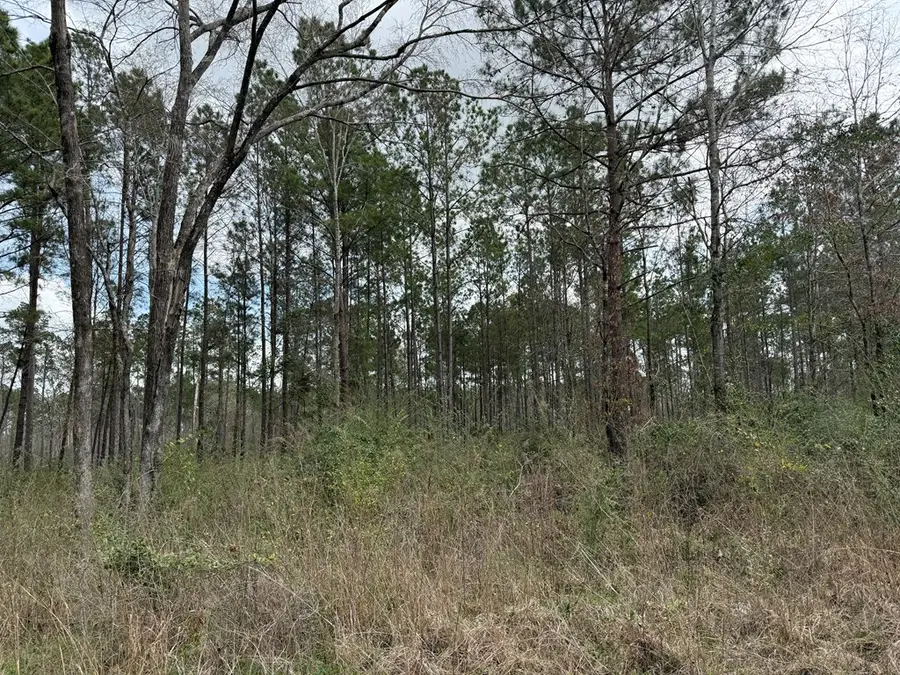 00 Fm 844, Huntington, TX 75949 - #3