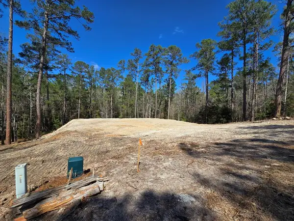 173 Red Squirrel Drive, Brookeland, TX 75931