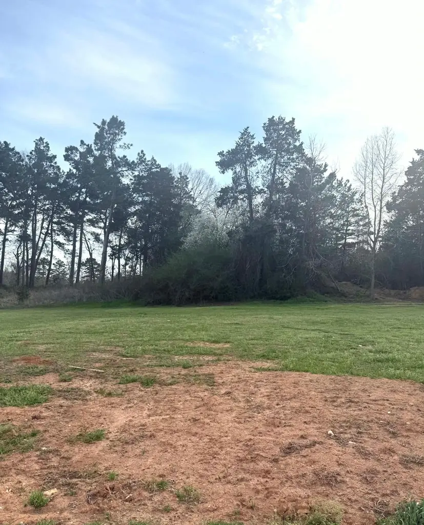 LOT 5 Willow Creek Court, Center, TX 75935 - #2