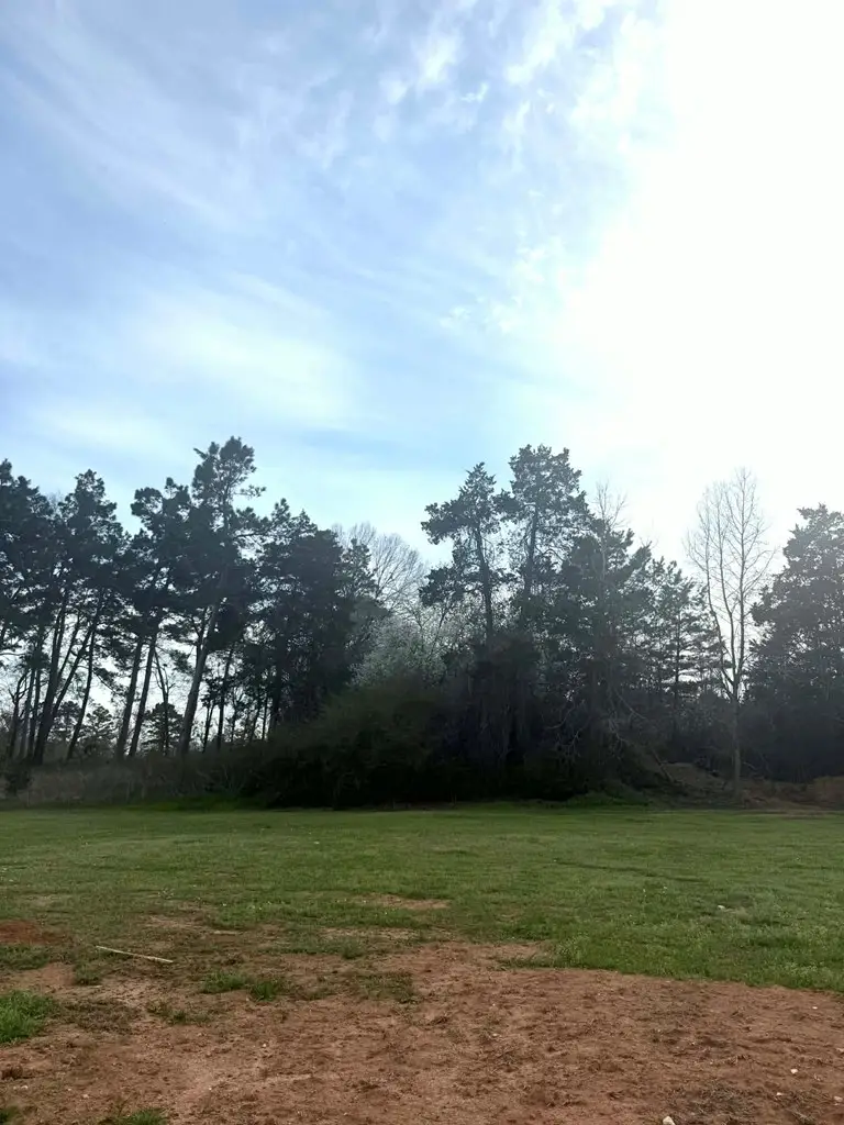 LOT 5 Willow Creek Court, Center, TX 75935 - #3