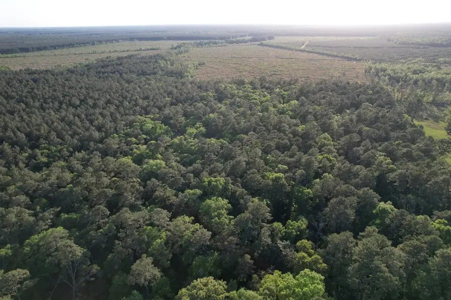 1309 Creel Ln, Thicket, TX 77374 - #2