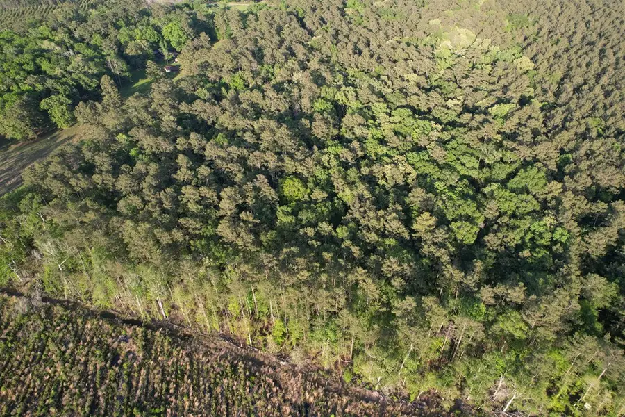 1309 Creel Ln, Thicket, TX 77374 - #3