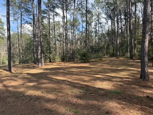 182 Private Rd 6009, Brookeland, TX 75931 - #2