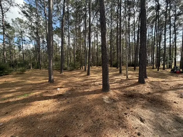 182 Private Rd 6009, Brookeland, TX 75931 - #3